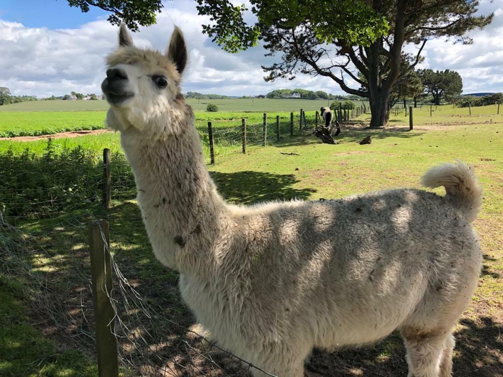 Sandhill House トルーン エクステリア 写真